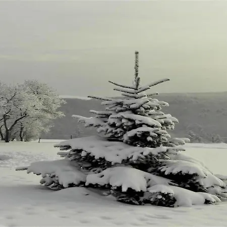 In In The Southern Eifel Waxweiler