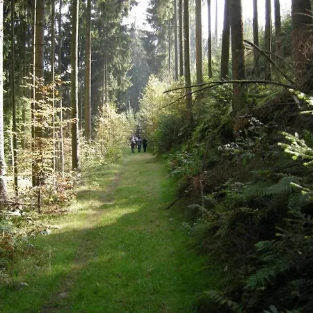 Holiday home In In The Southern Eifel Waxweiler
